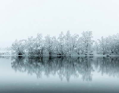 Новый отель в Завидово удивил даже москвичей: отдых, где природа встречает комфорт