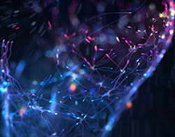 Продукты Security Vision включены в Каталог решений Банка технологий Москвы