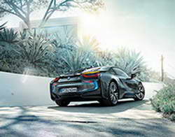 Вице-мэр Воронежа пожаловалась на «токсичных» горожан