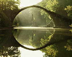 Еще одну «Пятерочку» в центре Казани закрыли из-за крыс