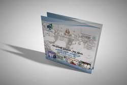 Брянская студентка вышла в финал премии «Студент года»