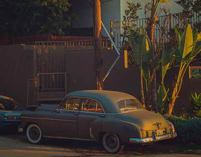 Внучка Долиной порассуждала о будущей профессии