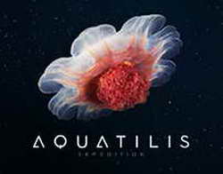 В Брянске действуют еженедельные сельскохозяйственные ярмарки