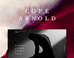 Глава профсоюза Брянщины назвала прямую линию с губернатором важным социальным инструментом